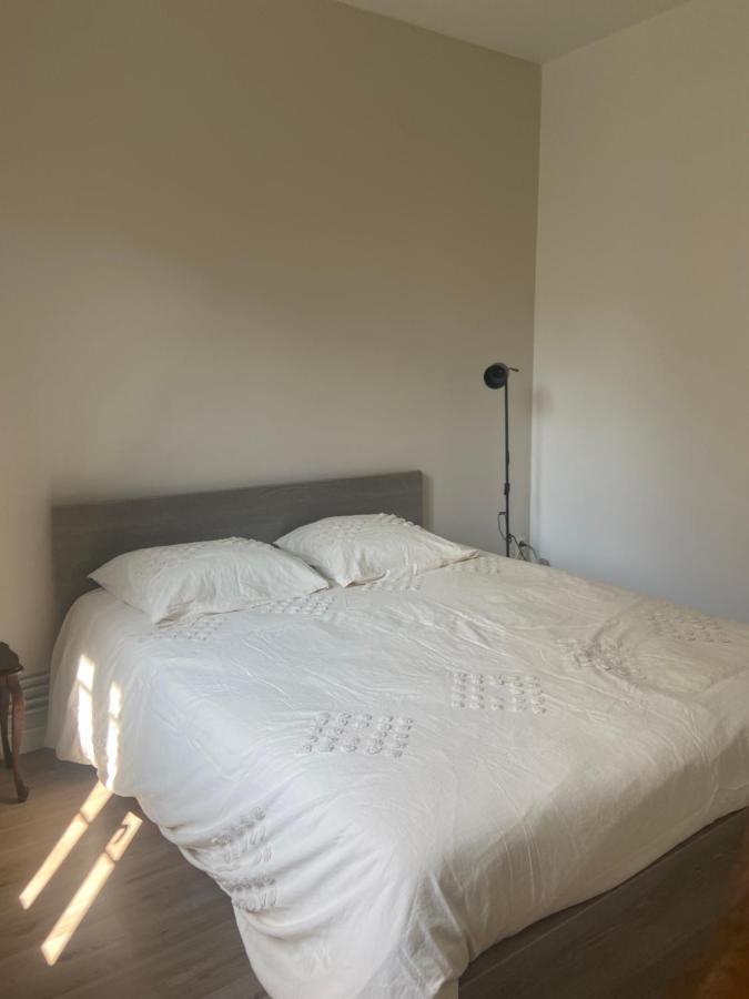 Le Billeron Apartment แซ็ง-ตาม็อง-มงทรง ภายนอก รูปภาพ